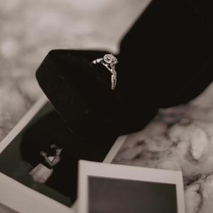 Gallery Photo 4