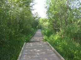 Picture of Hartley Nature Center