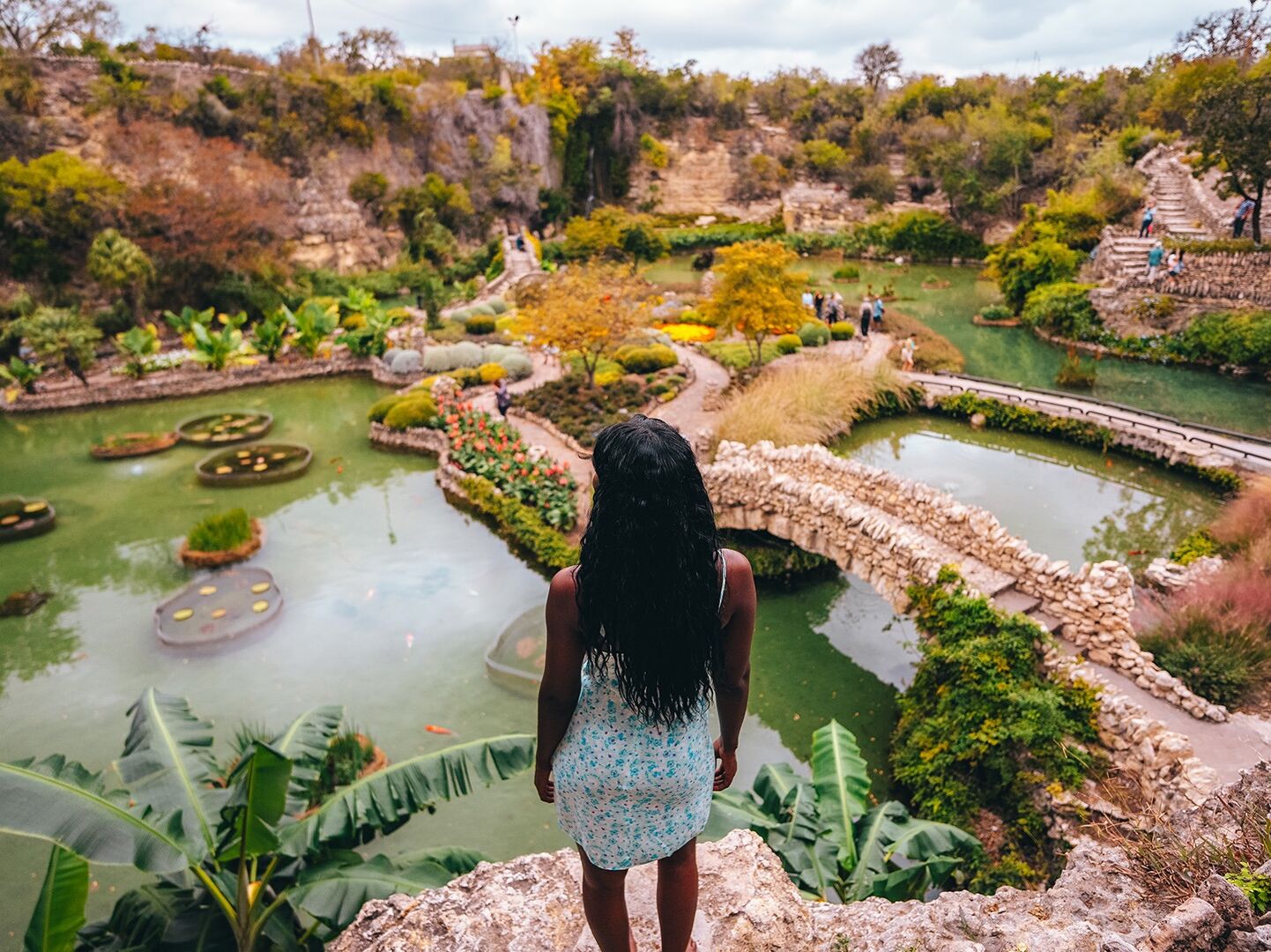 Picture of Japanese Tea Garden