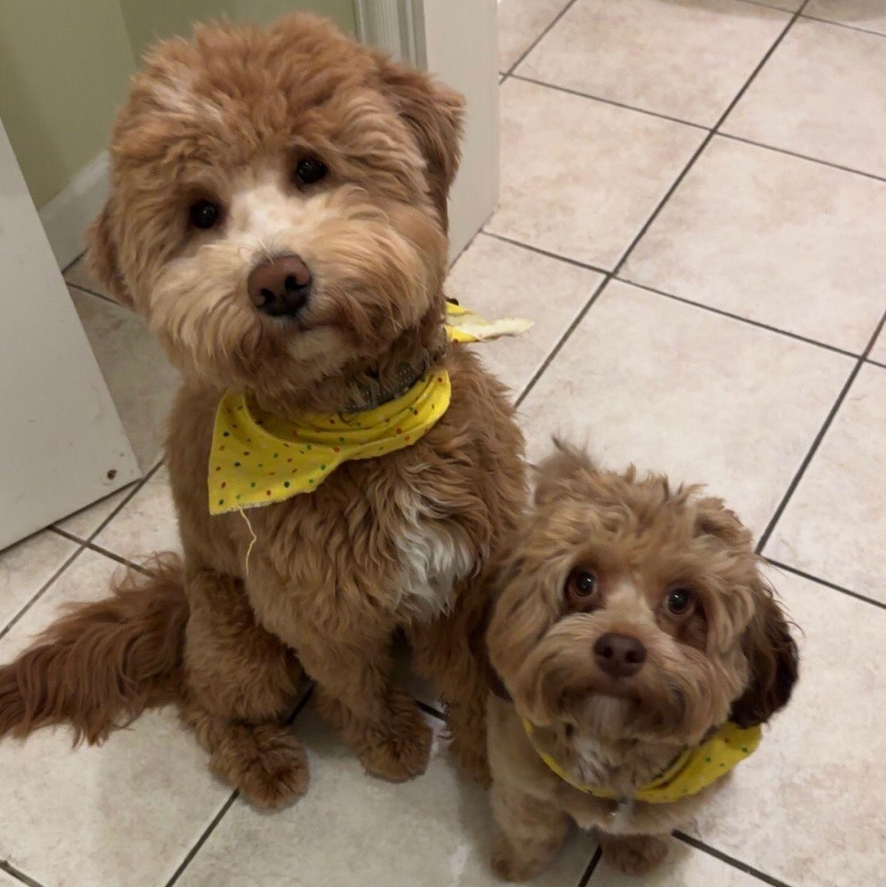 Curry and Cooper