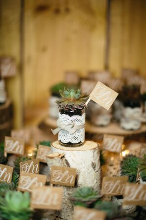 Succulent Wedding Favors