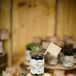 Succulent Wedding Favors