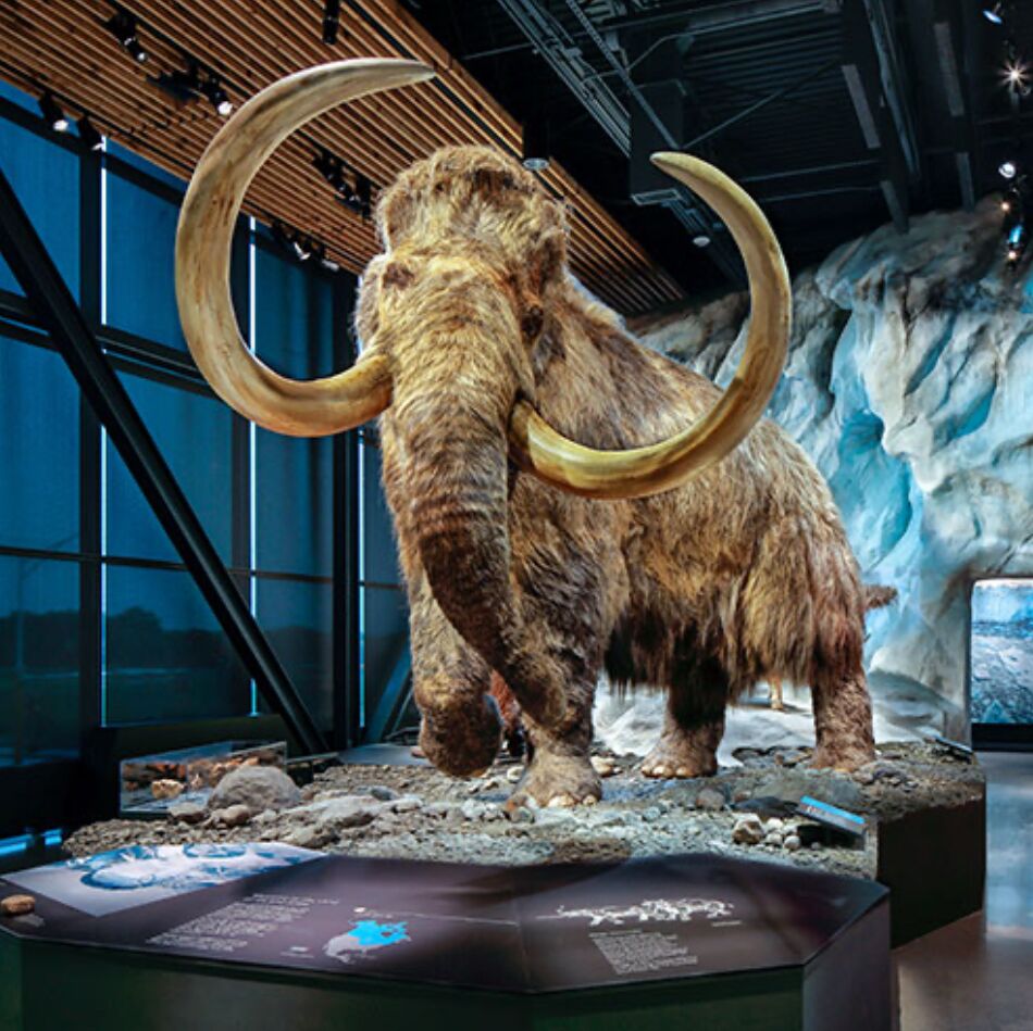 Picture of Bell Museum