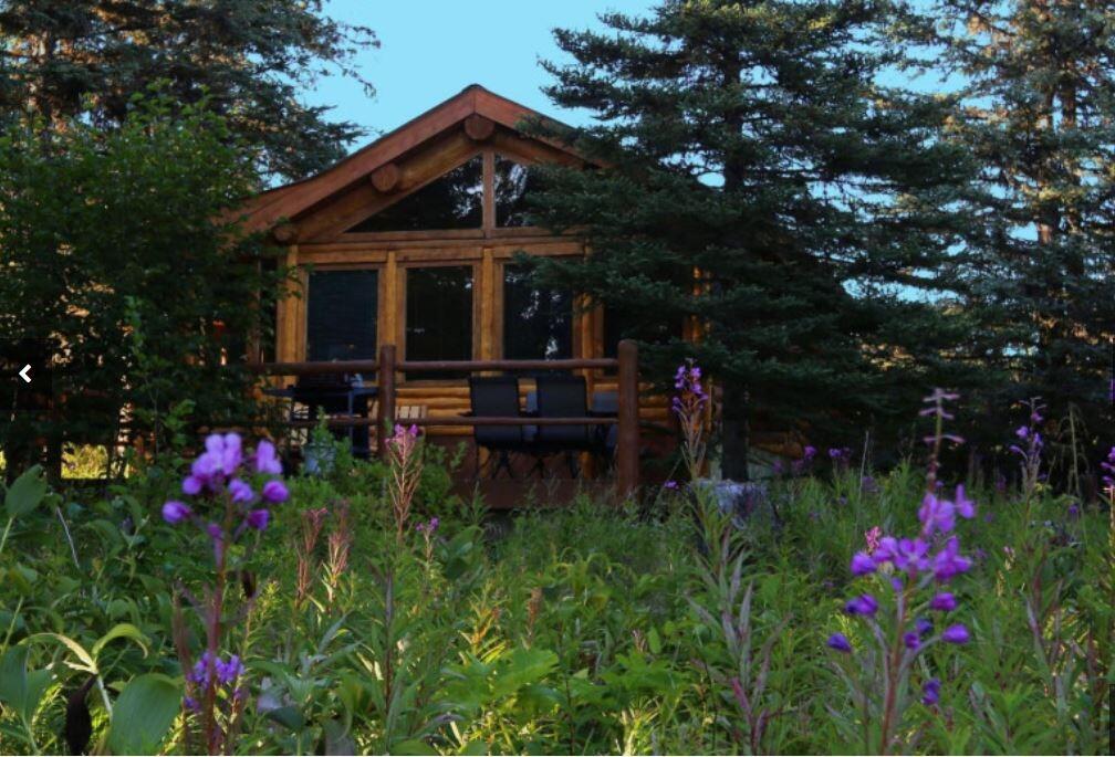 Picture of Bear Paw Adventure