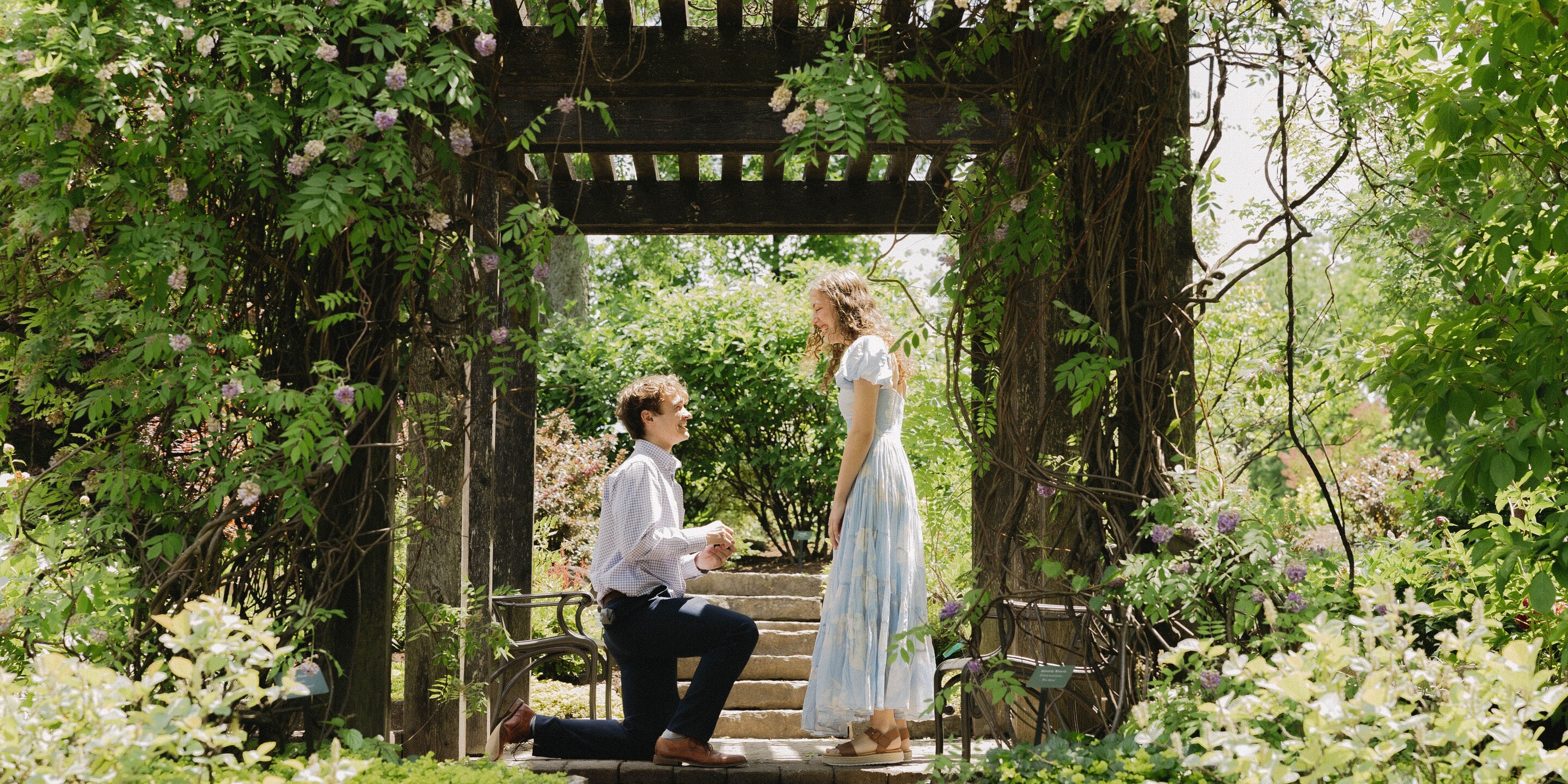 Sophia & Craig Home Page Banner