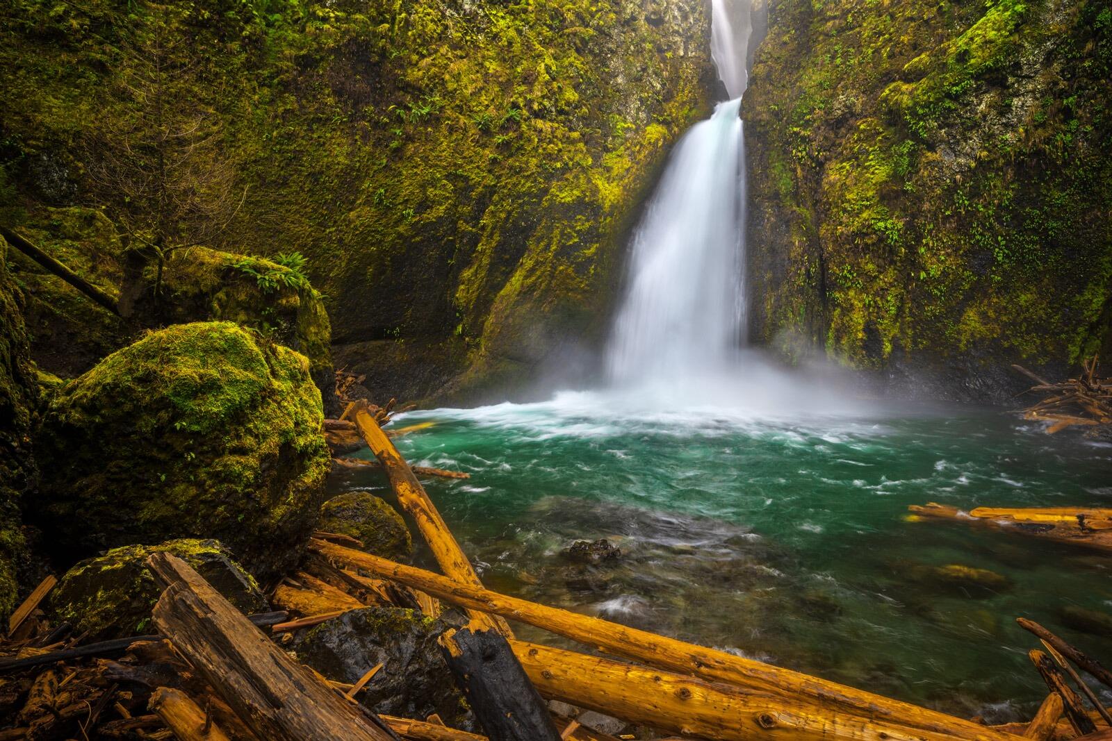 Picture of Wahclella Falls Trail