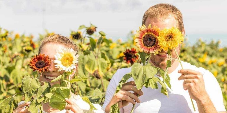 Brandon  & Dannielle Home Page Banner