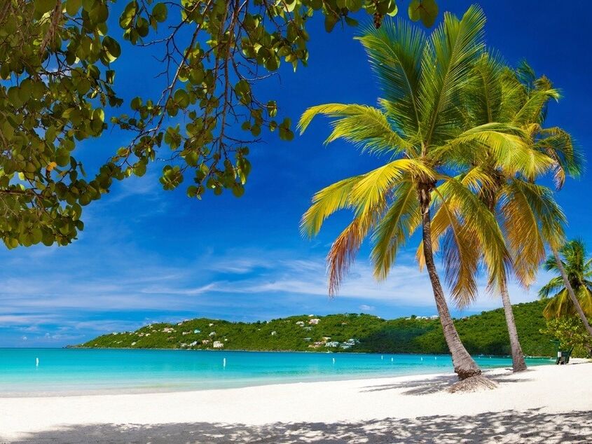 Picture of Visit Magens Bay Beach