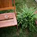 Natural, Textured Fern Aisle Decor