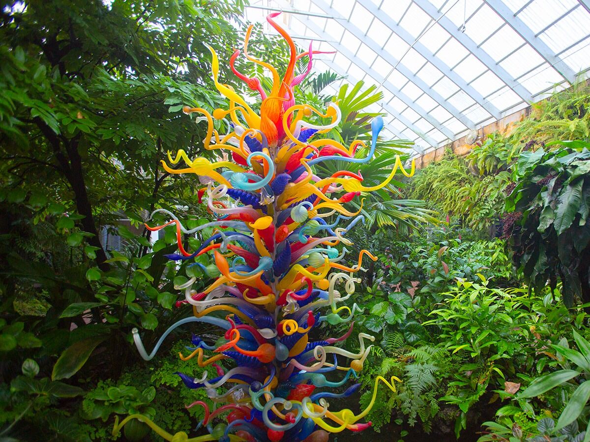 Picture of Fairchild Tropical Botanic Garden