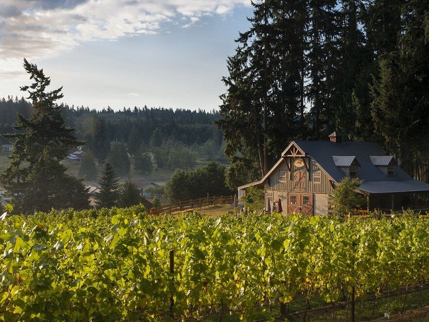 Picture of Spoiled Dog Winery
