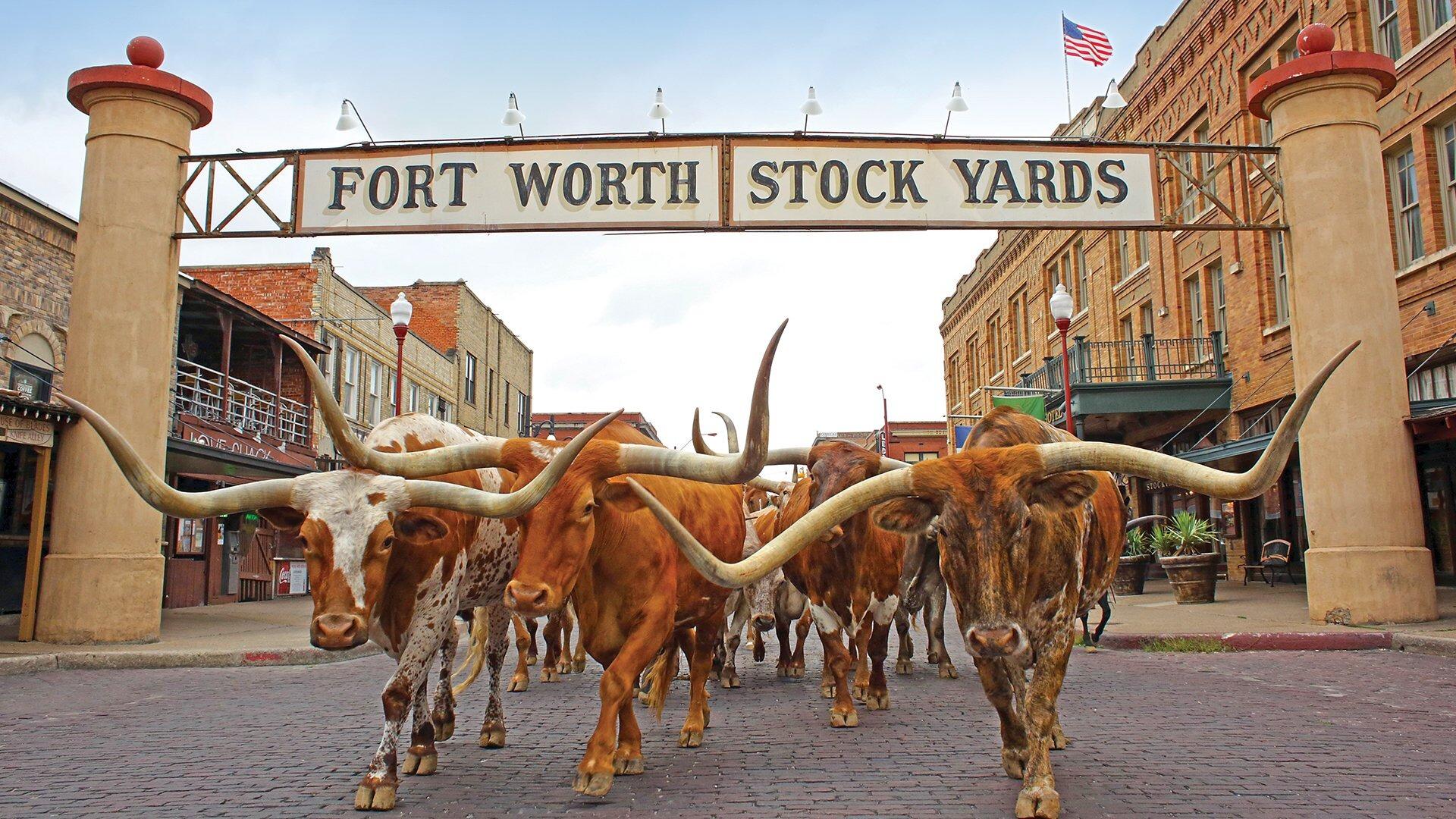 Picture of Fort Worth Stockyards