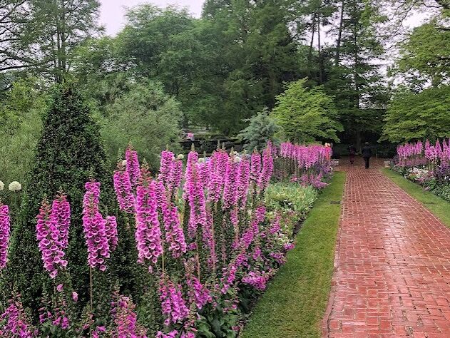 Picture of Longwood Gardens