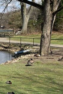 Picture of Kellogg Bird Sanctuary 