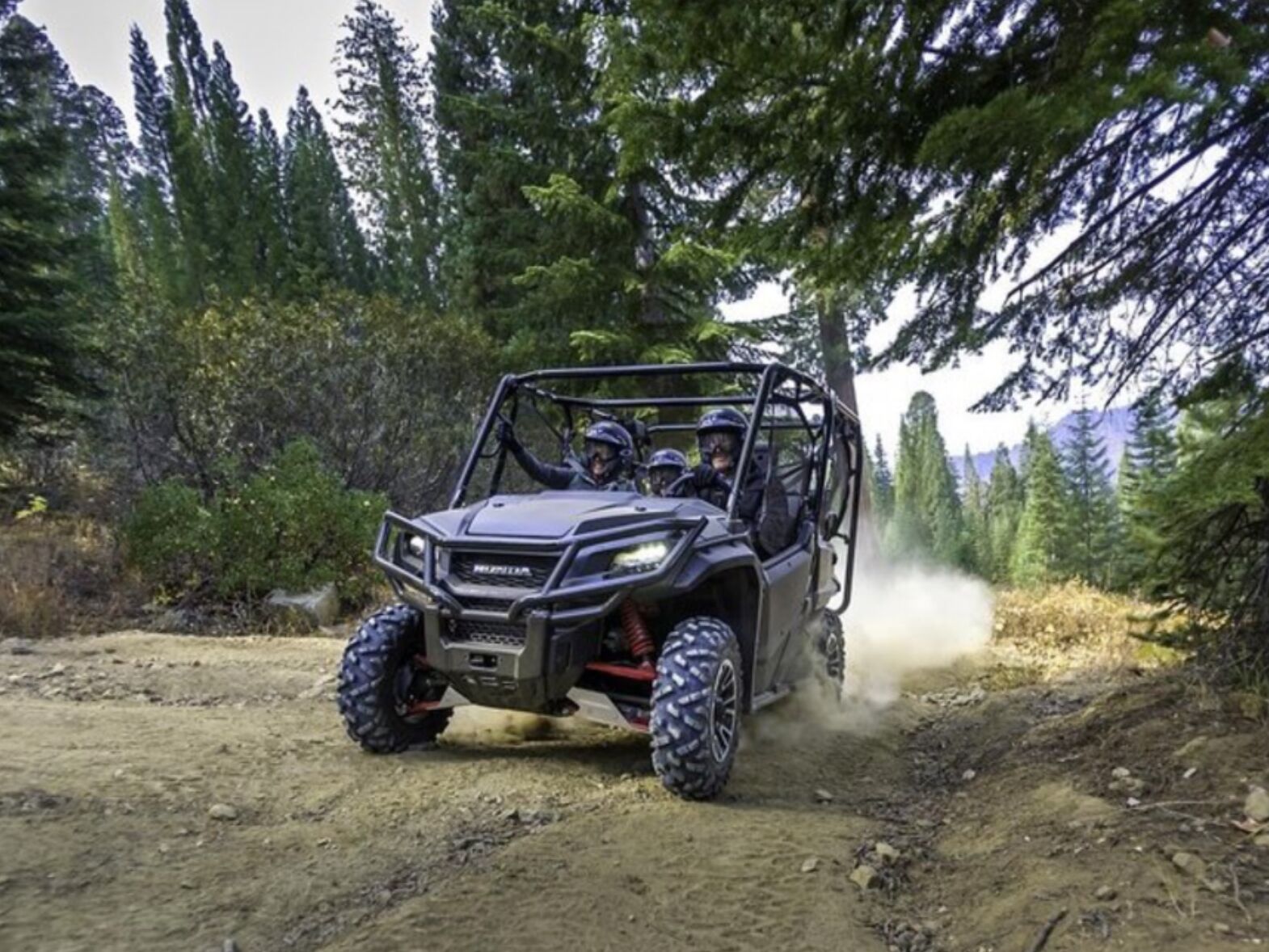 Picture of UTV Rentals
