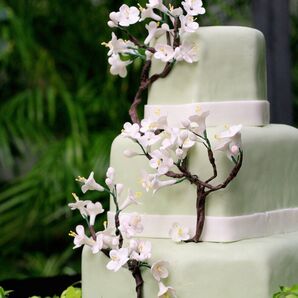 The Cake