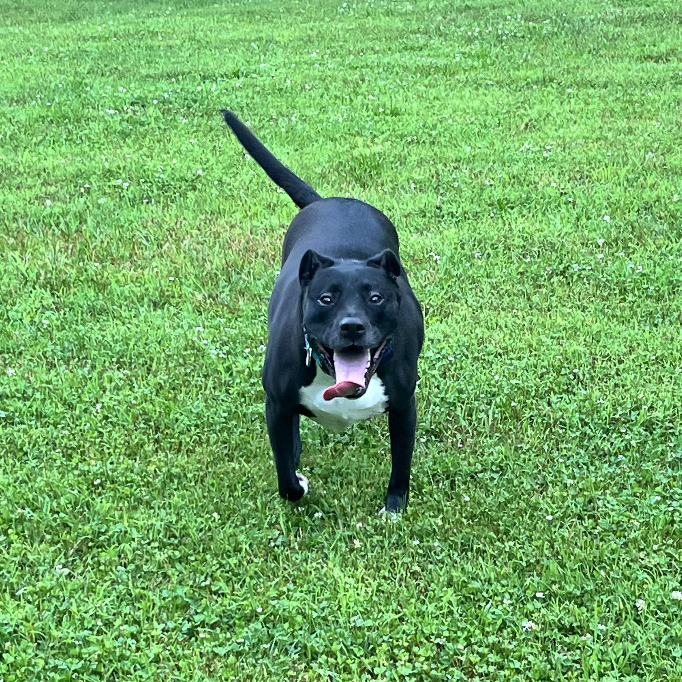 Luna