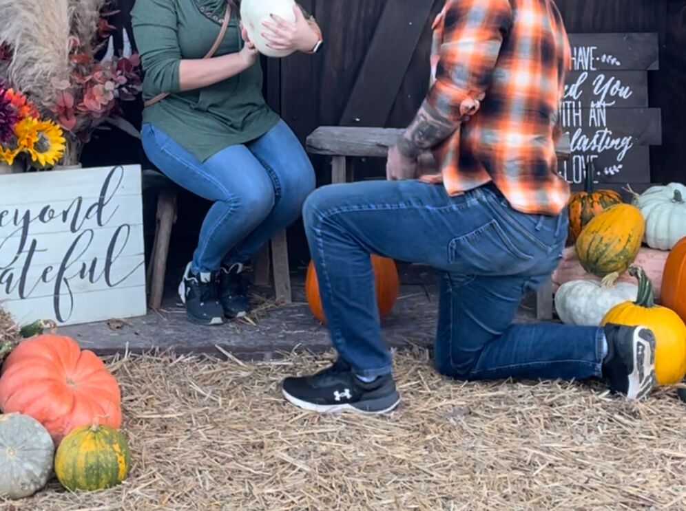 Picture of Levi's Pumpkin Patch
