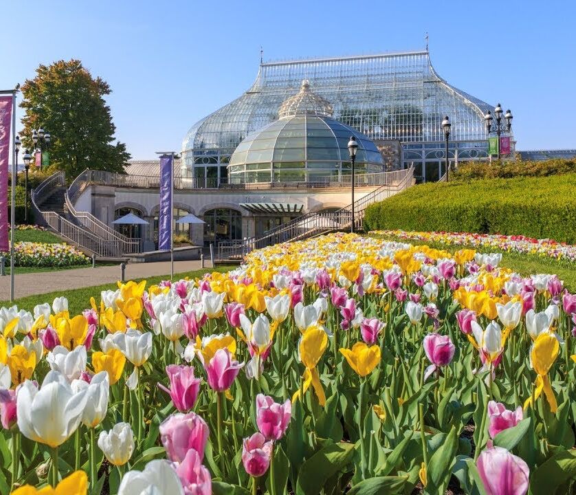 Picture of Phipps Conservatory and Botanical Gardens