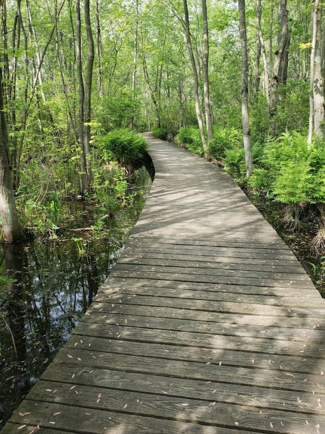 Picture of Beaver Lake Nature Center