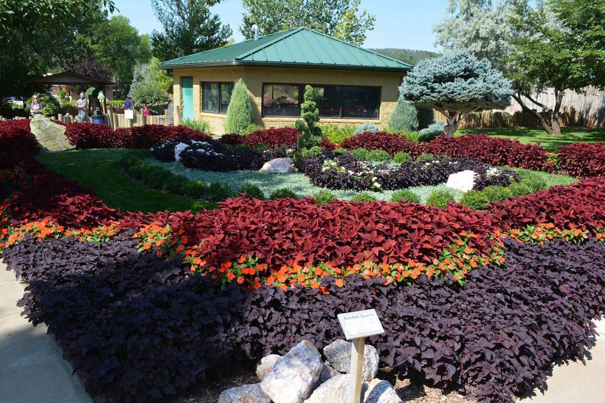 Picture of Reptile Gardens