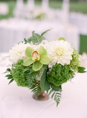 Green Trick, Orchid and Dahlia Centerpieces