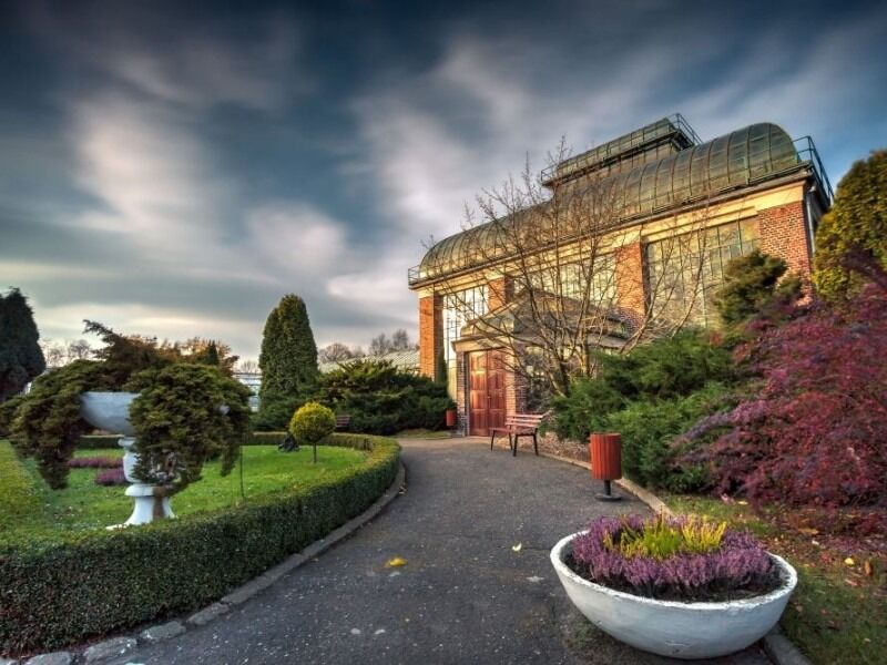 Picture of Palm House