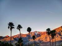 palm springs scenery