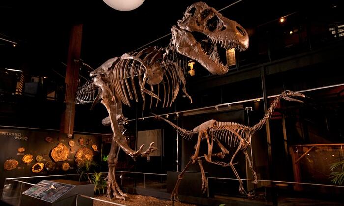 Picture of Houston Museum of Natural Science