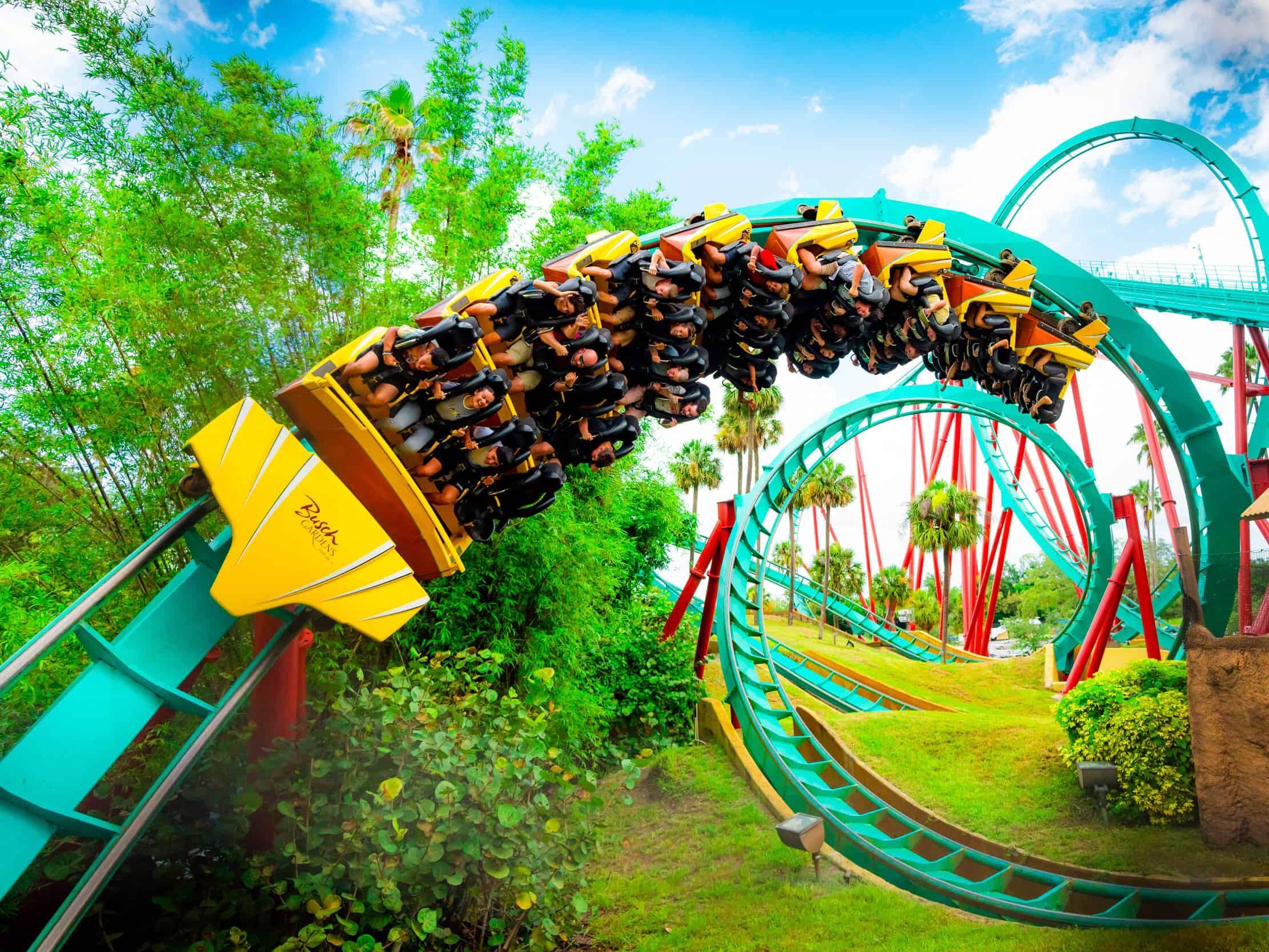 Picture of Busch Gardens Tampa Bay