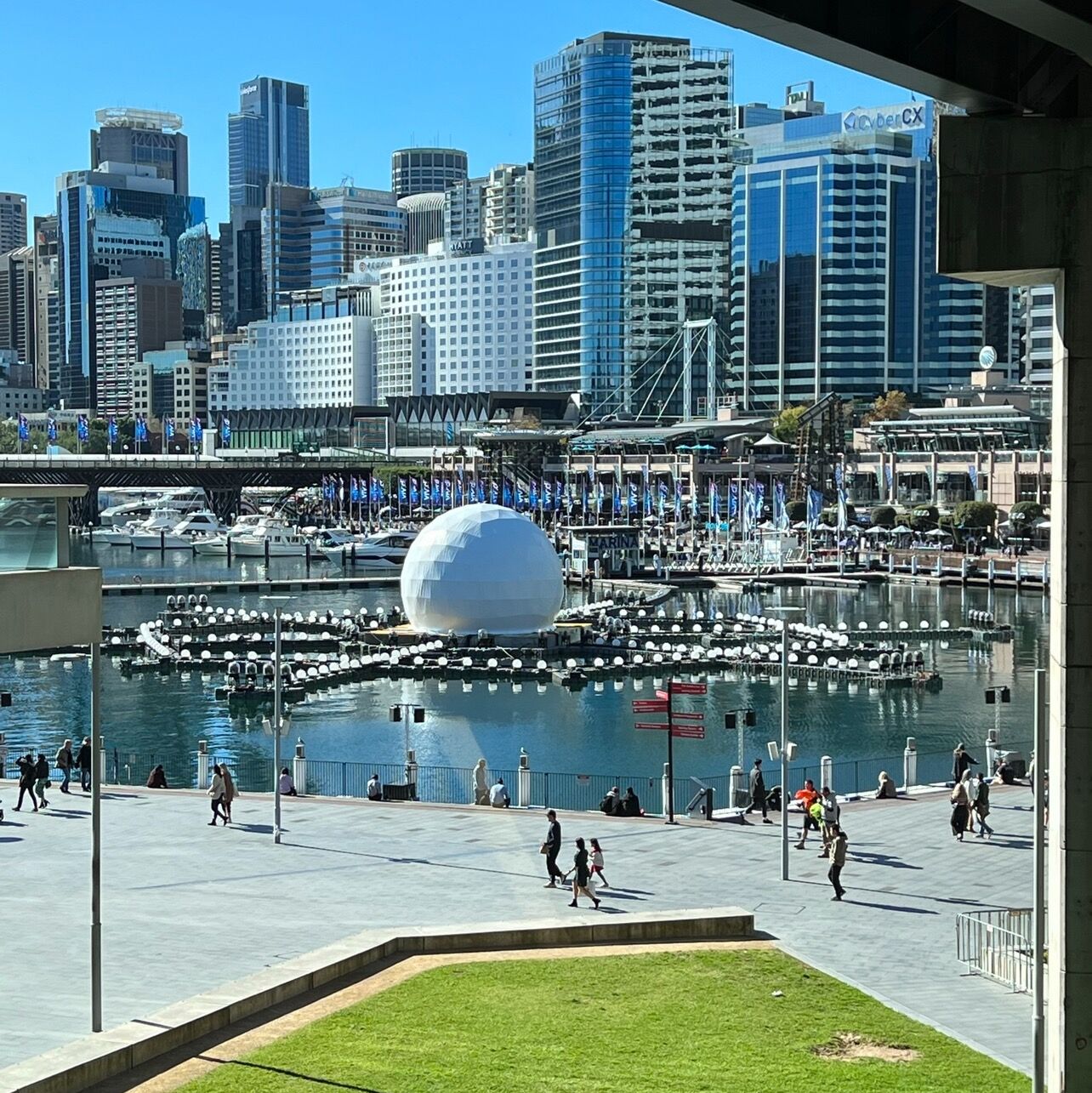 Picture of Darling Harbour