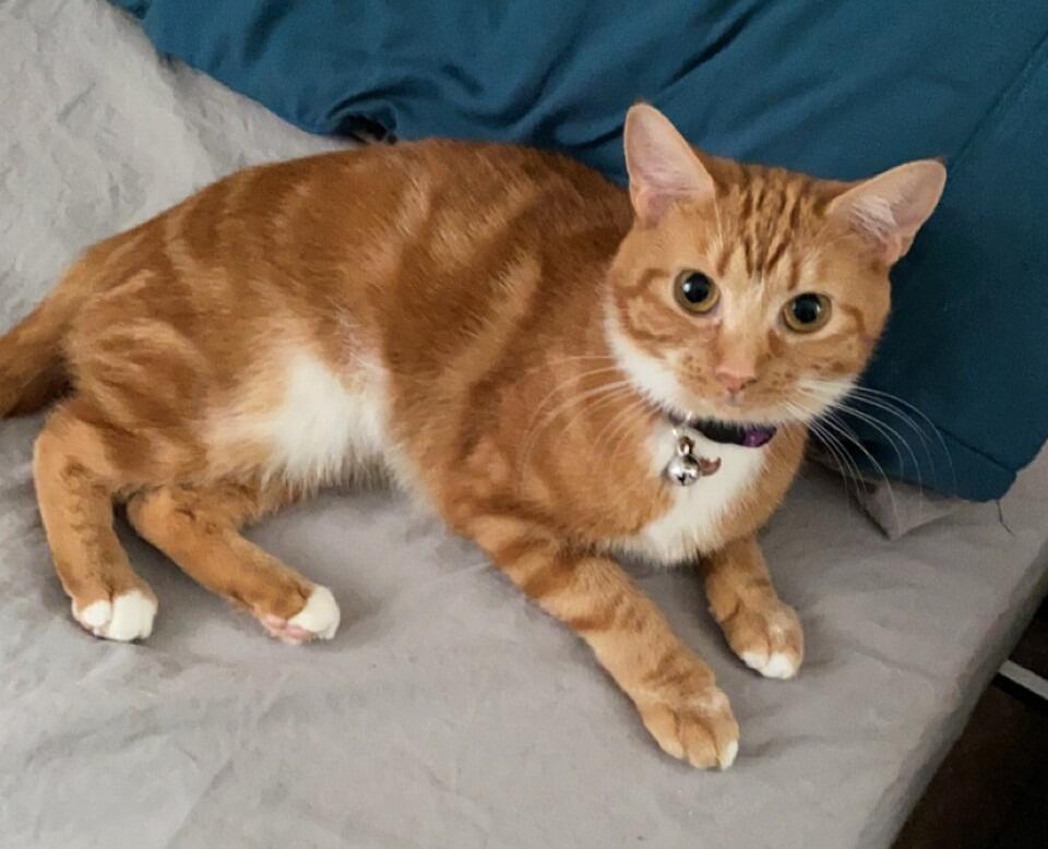 Ember came home.