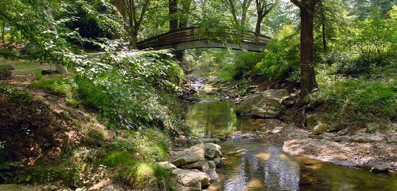 Picture of The Botanical Gardens at Asheville