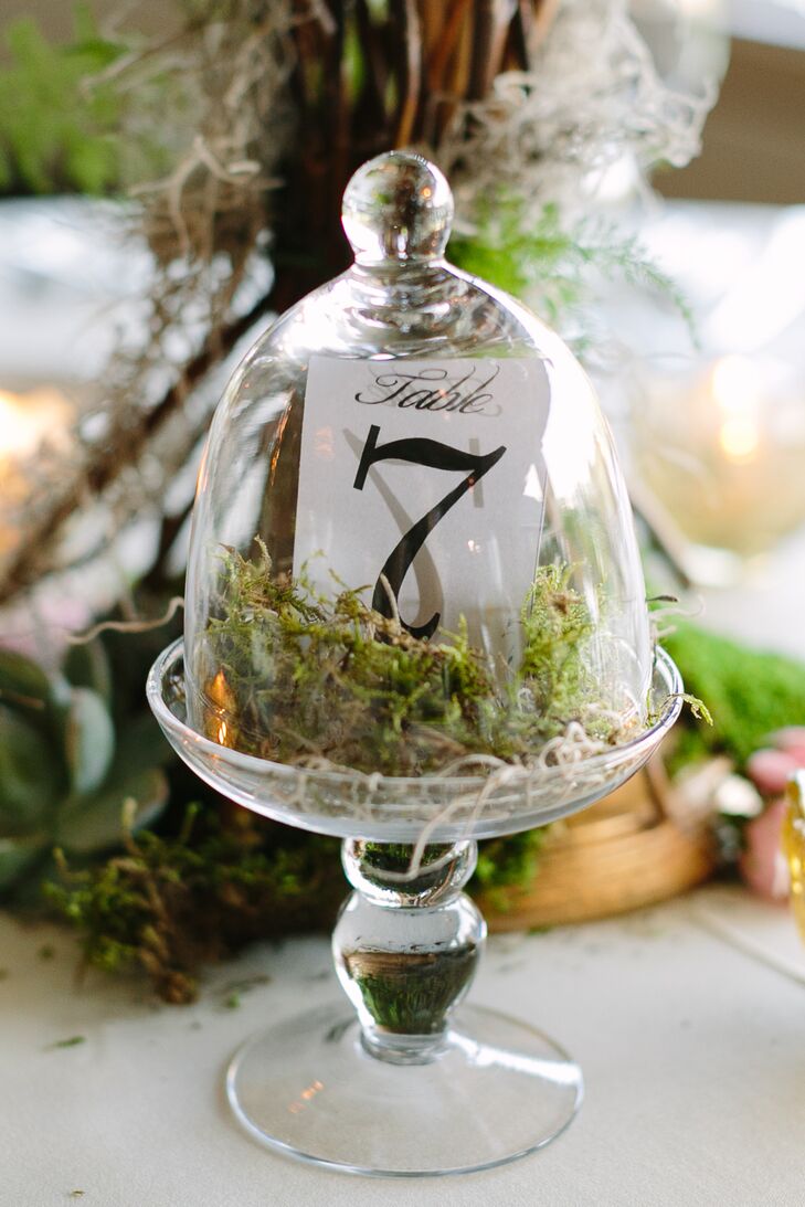 Moss Bell Jar Table Numbers
