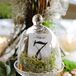 Moss Bell Jar Table Numbers