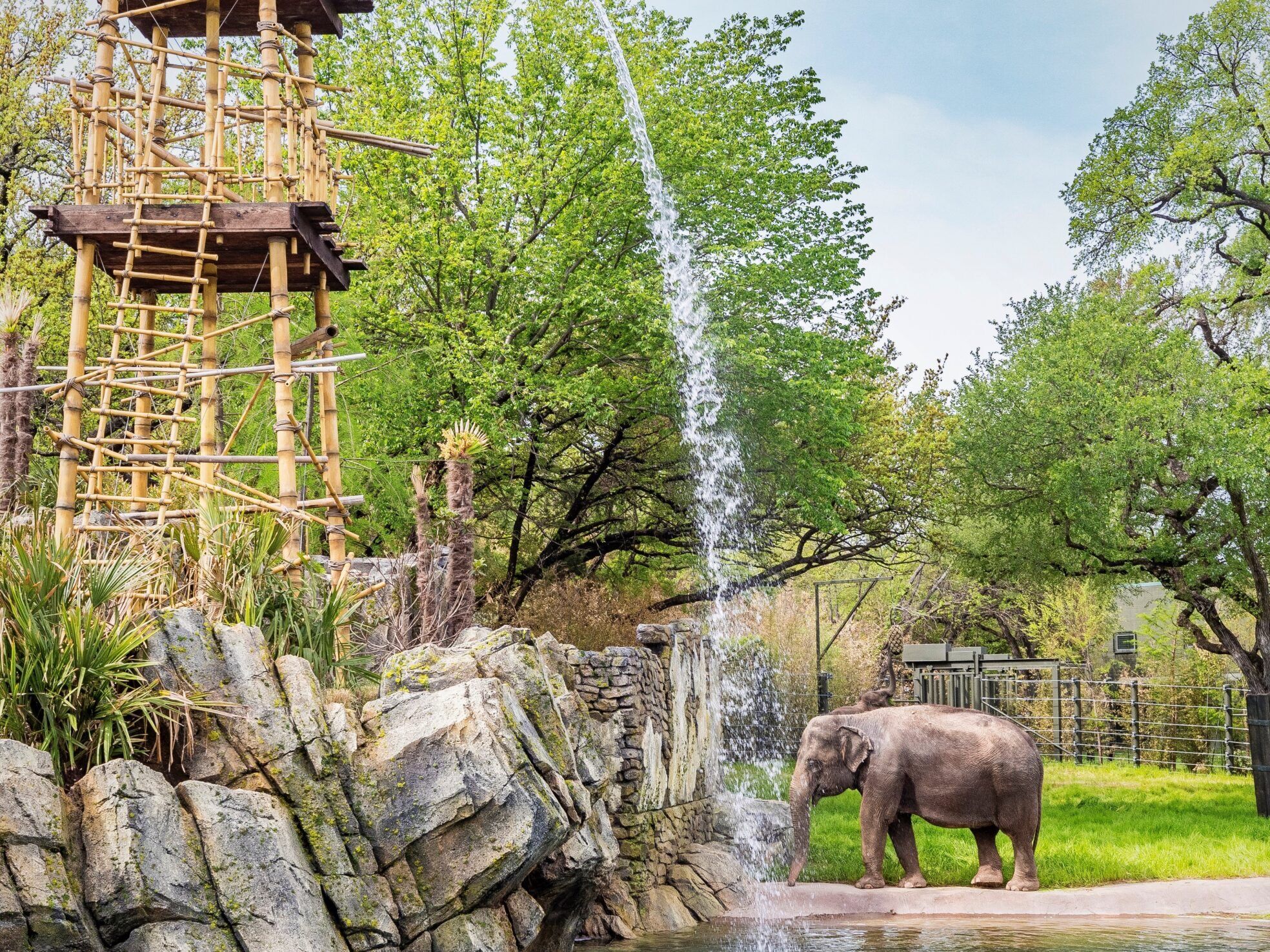 Picture of Fort Worth Zoo