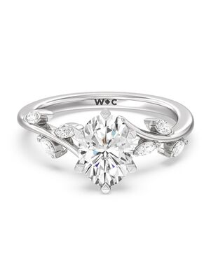 With Clarity Cushion, Emerald, Radiant, Round, Oval Cut Engagement Ring