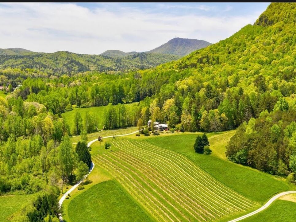 Picture of Tiger Mountain Vineyards