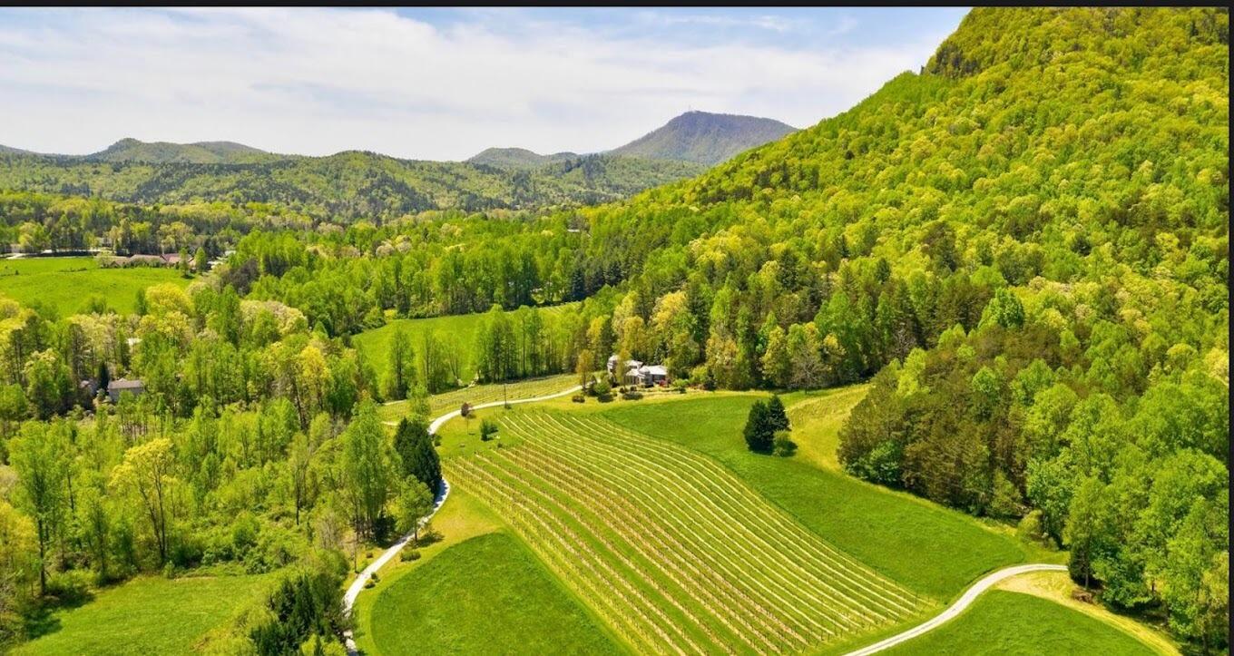 Picture of Tiger Mountain Vineyards