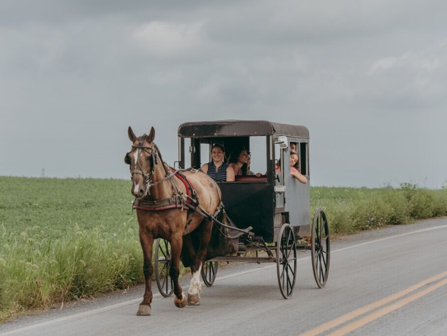Picture of Aaron and Jessica’s Buggy Rides