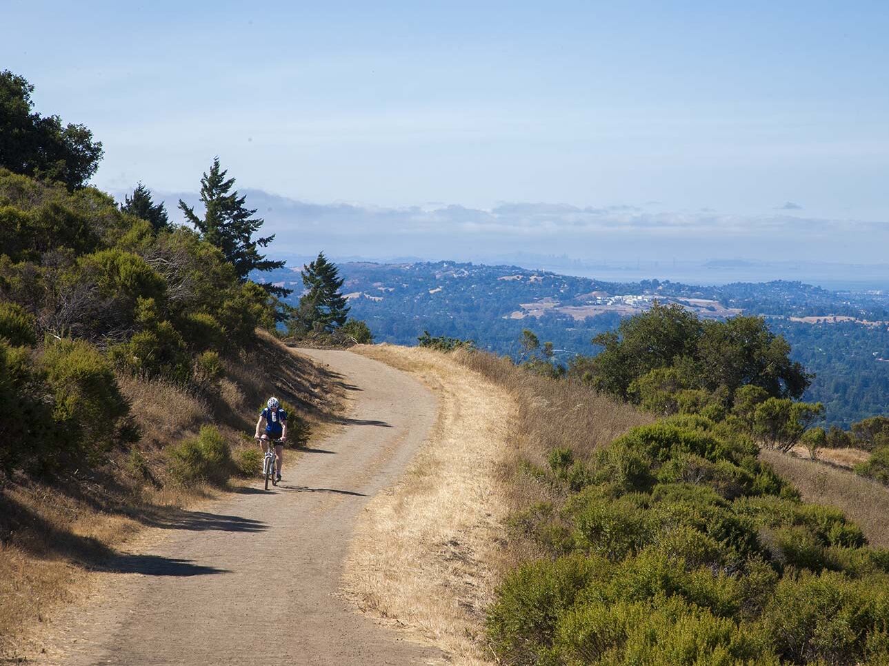 Picture of Windy Hill Open Space Preserve