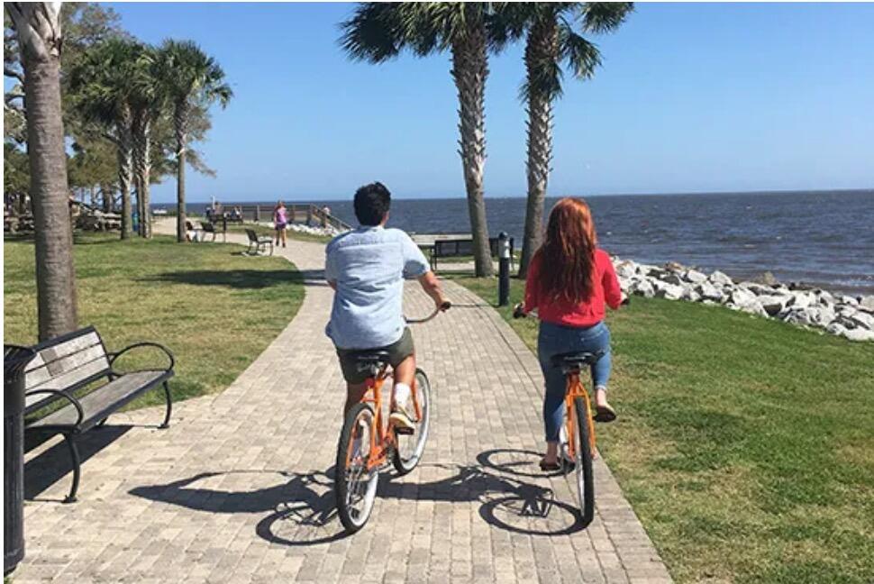 Picture of Island Bicycle