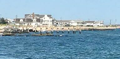 Picture of Pier 37 Boathouse or Shipwrecked