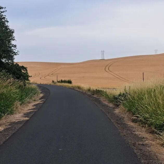 Picture of Latah Trail