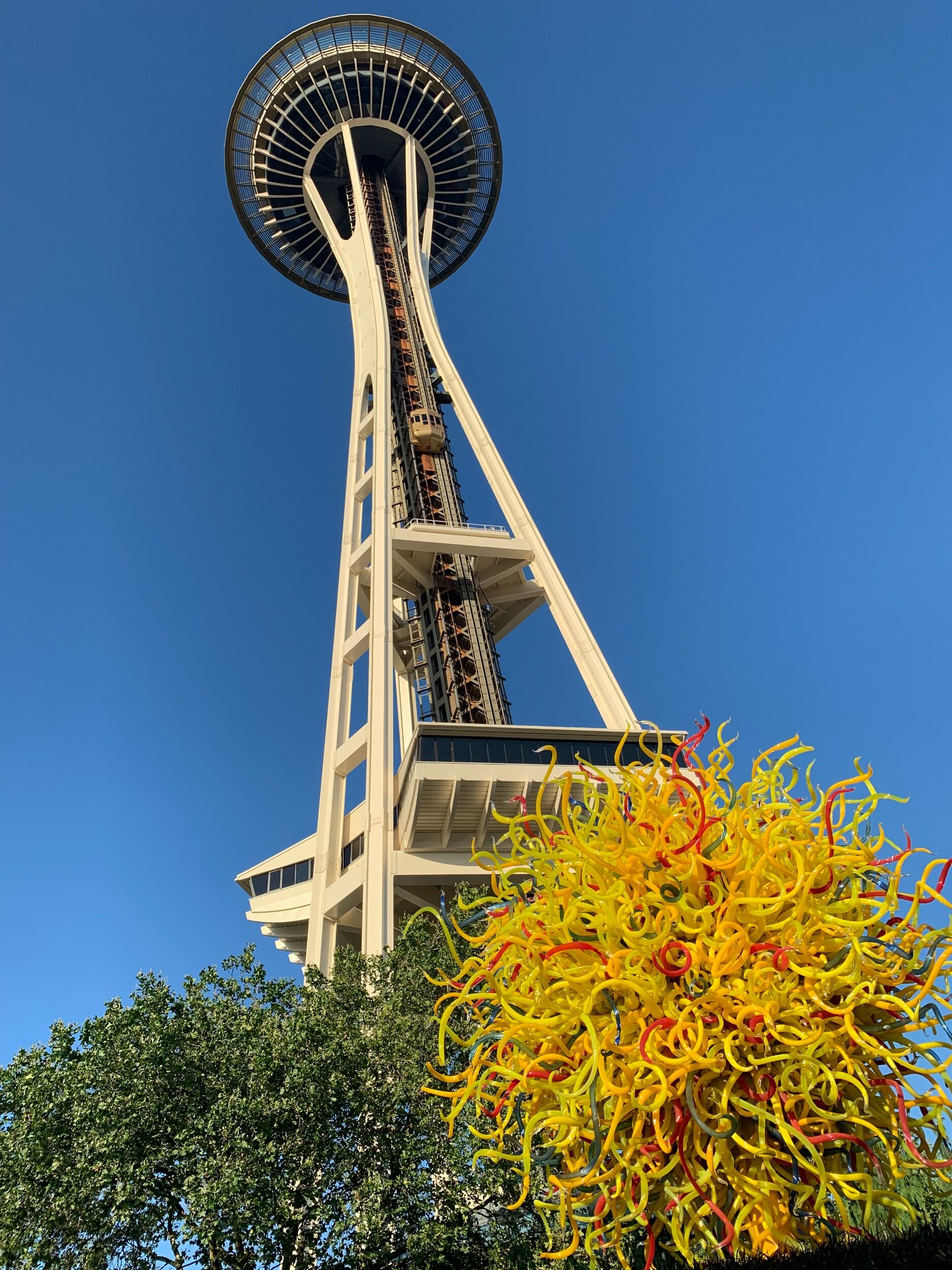 Picture of Space Needle