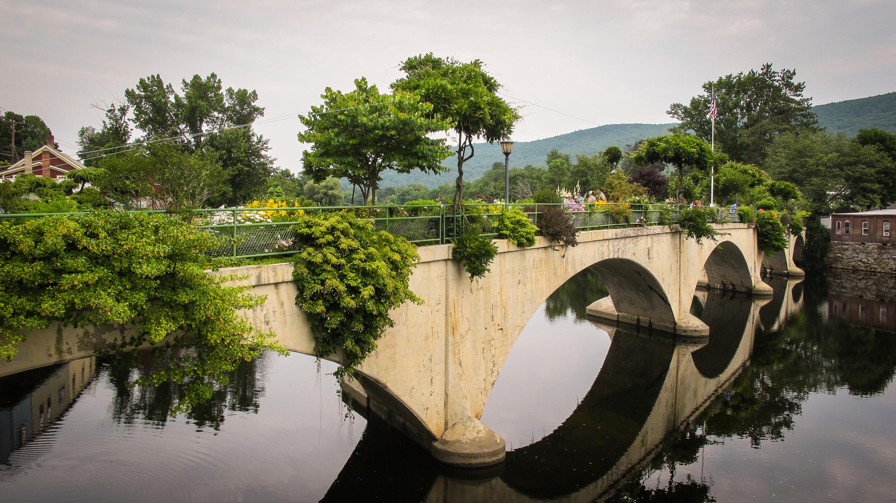 Picture of Bridge of Flowers