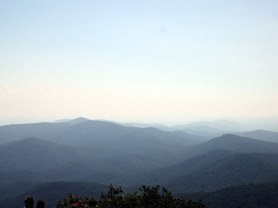 Picture of Vogel State Park