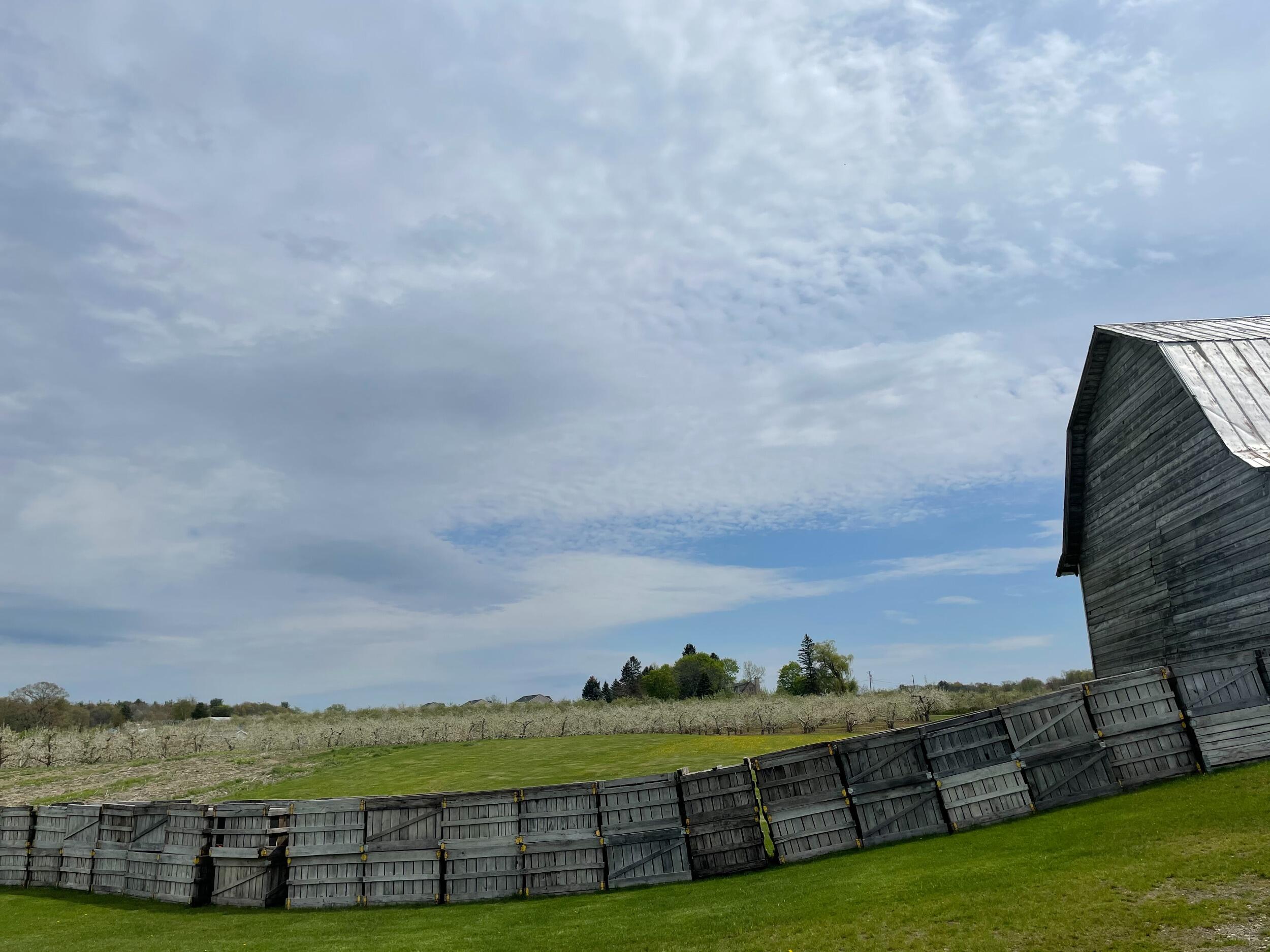 Picture of Windy Hill Orchard
