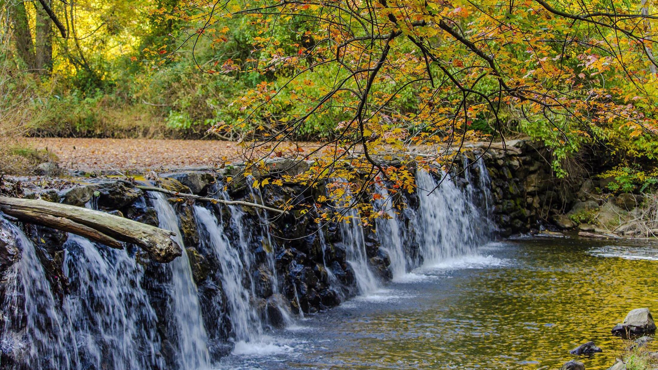 Picture of Ridley Creek State Park