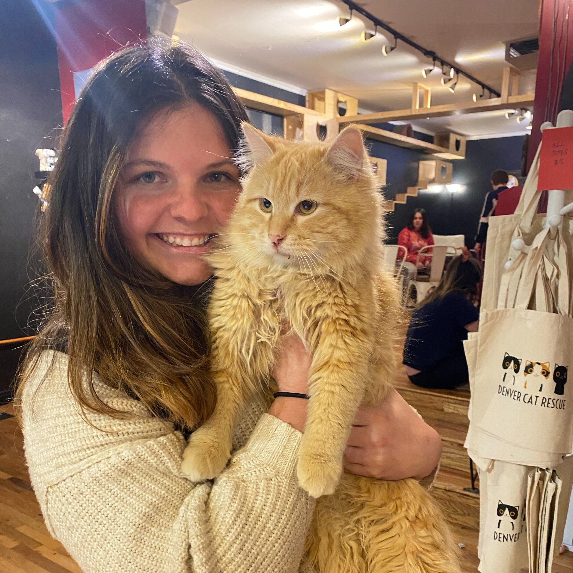 Picture of Denver Cat Company